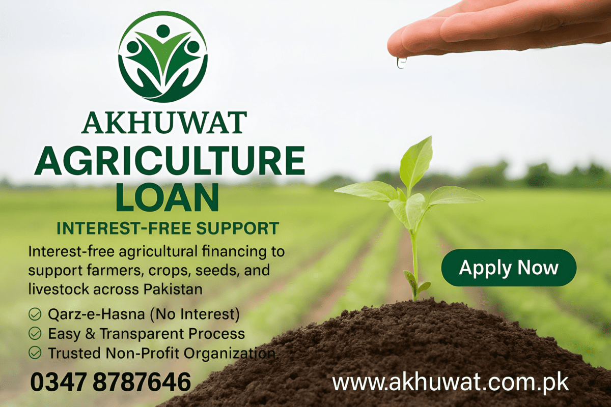 Polish 20251226 185321718